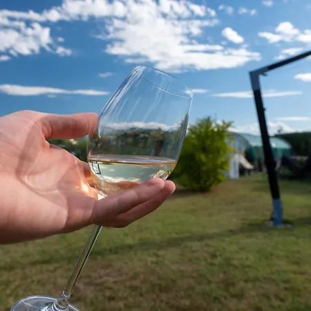 La Picchiera - Silvio