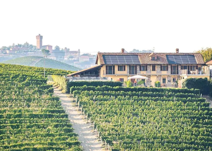 La Picchiera - Silvio * La Morra